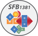 SFB1381