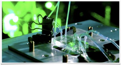 Microfluidic device